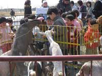 移動動物園